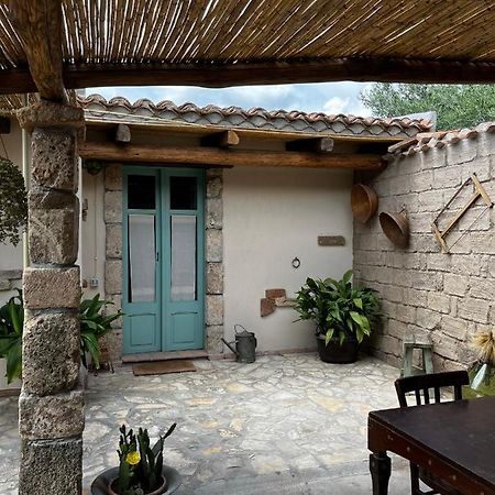 Penzion Graziosa Stanza Campidanese Su Terzu Oristano Exteriér fotografie