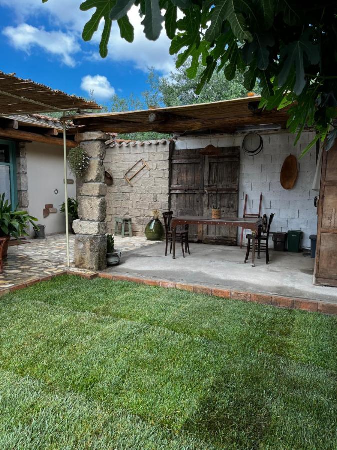 Penzion Graziosa Stanza Campidanese Su Terzu Oristano Exteriér fotografie