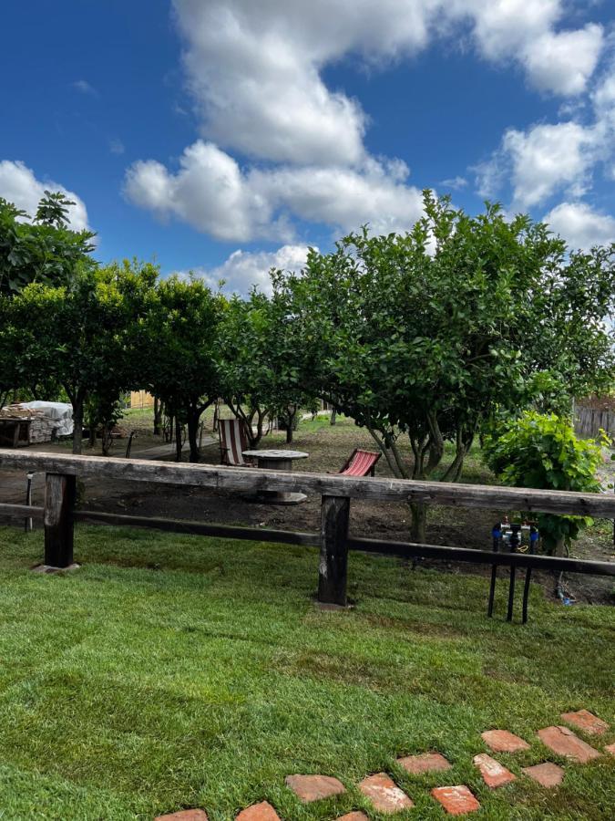 Penzion Graziosa Stanza Campidanese Su Terzu Oristano Exteriér fotografie