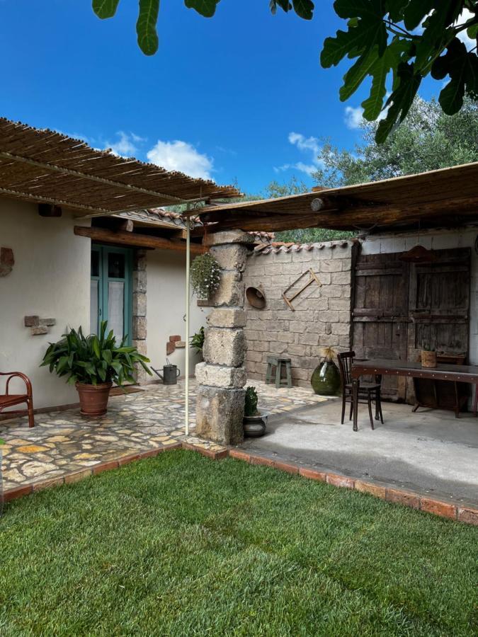 Penzion Graziosa Stanza Campidanese Su Terzu Oristano Exteriér fotografie